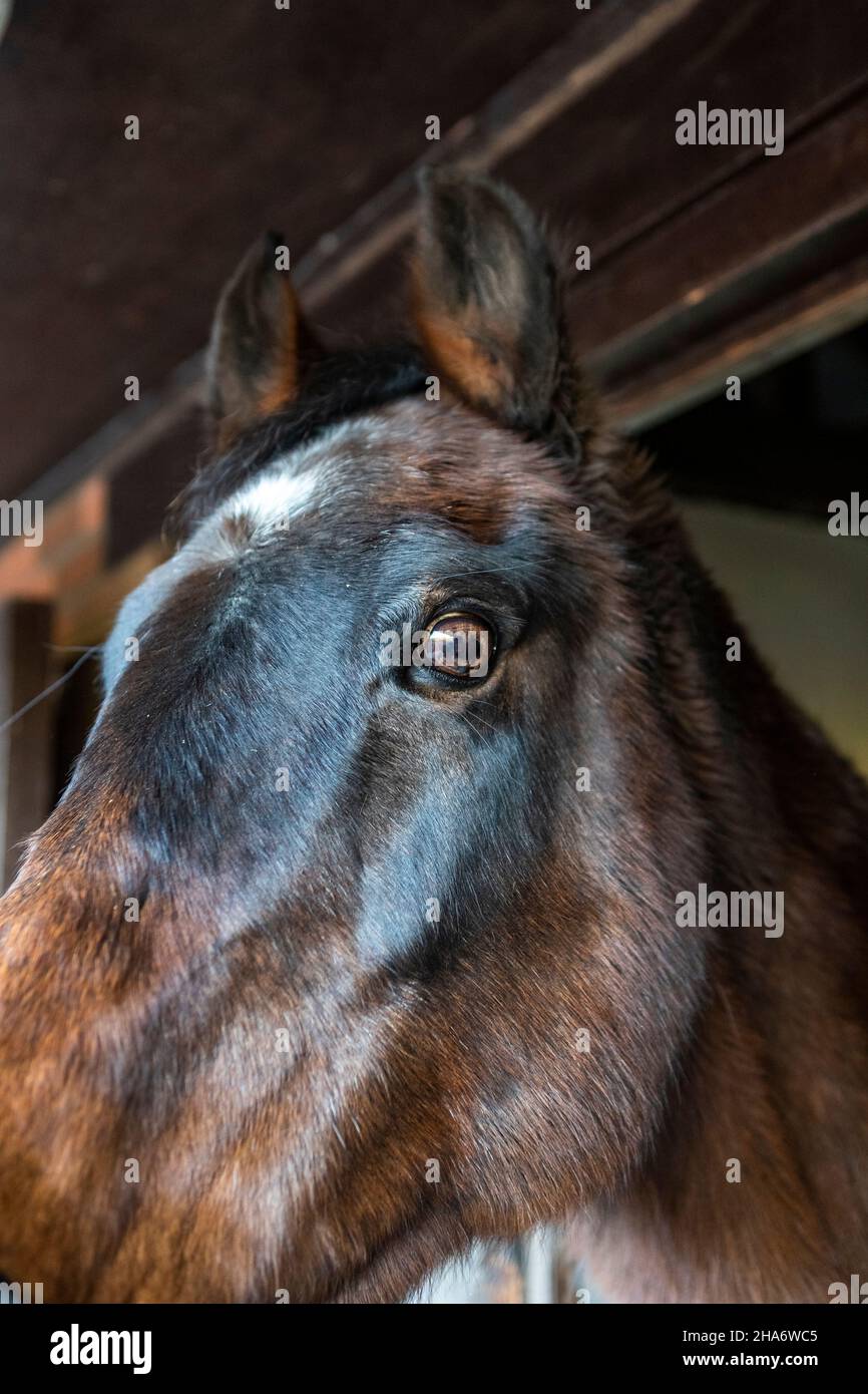 Felicity - letzter Tag Stockfoto
