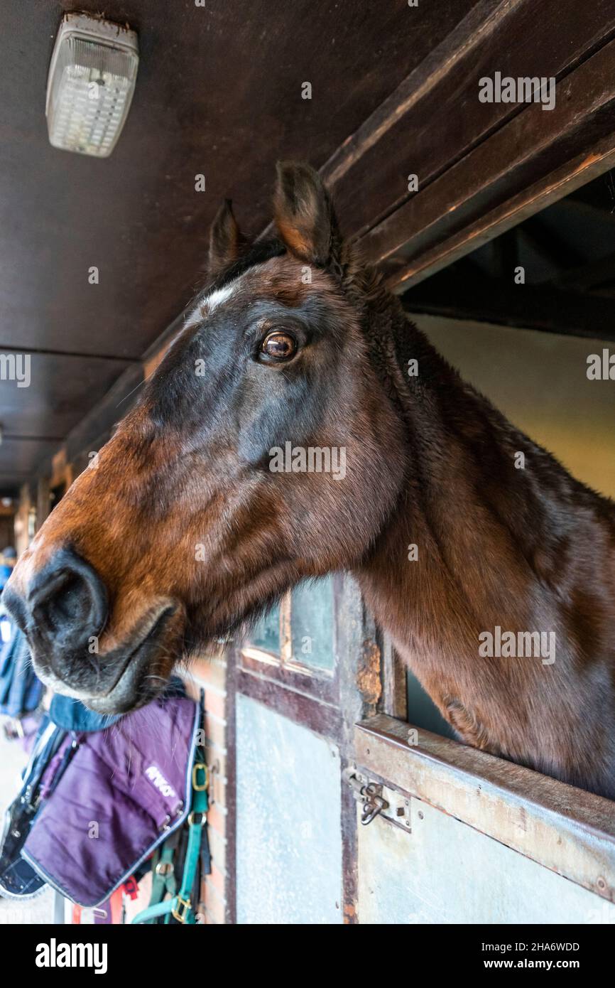 Felicity - letzter Tag Stockfoto