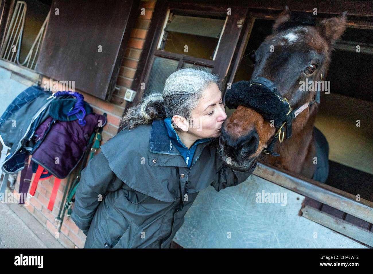 Eine reife Reiterin verbringt die letzten kostbaren Stunden, bevor ein Pferd aufgrund von schlechtem Gesundheitszustand und Alter abgesetzt wird. Stockfoto