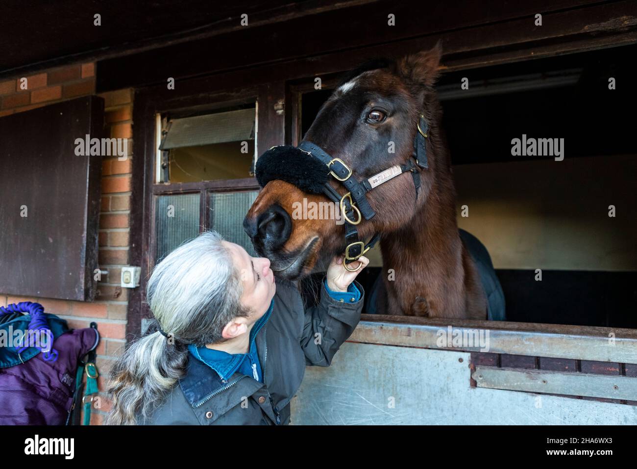 Eine reife Reiterin verbringt die letzten kostbaren Stunden, bevor ein Pferd aufgrund von schlechtem Gesundheitszustand und Alter abgesetzt wird. Stockfoto