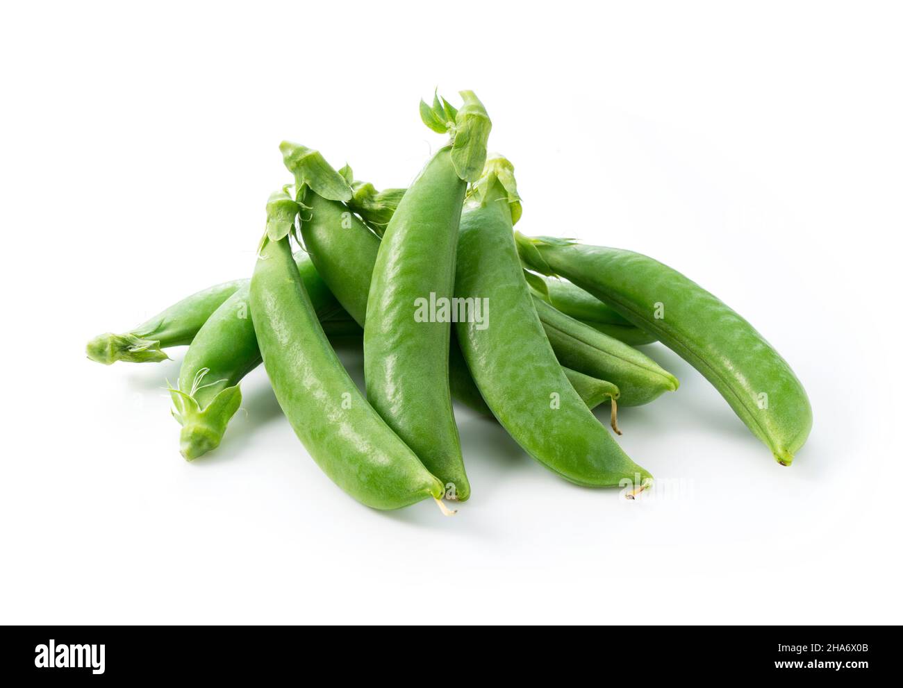 Viele Schnapperbsen auf weißem Hintergrund Stockfoto