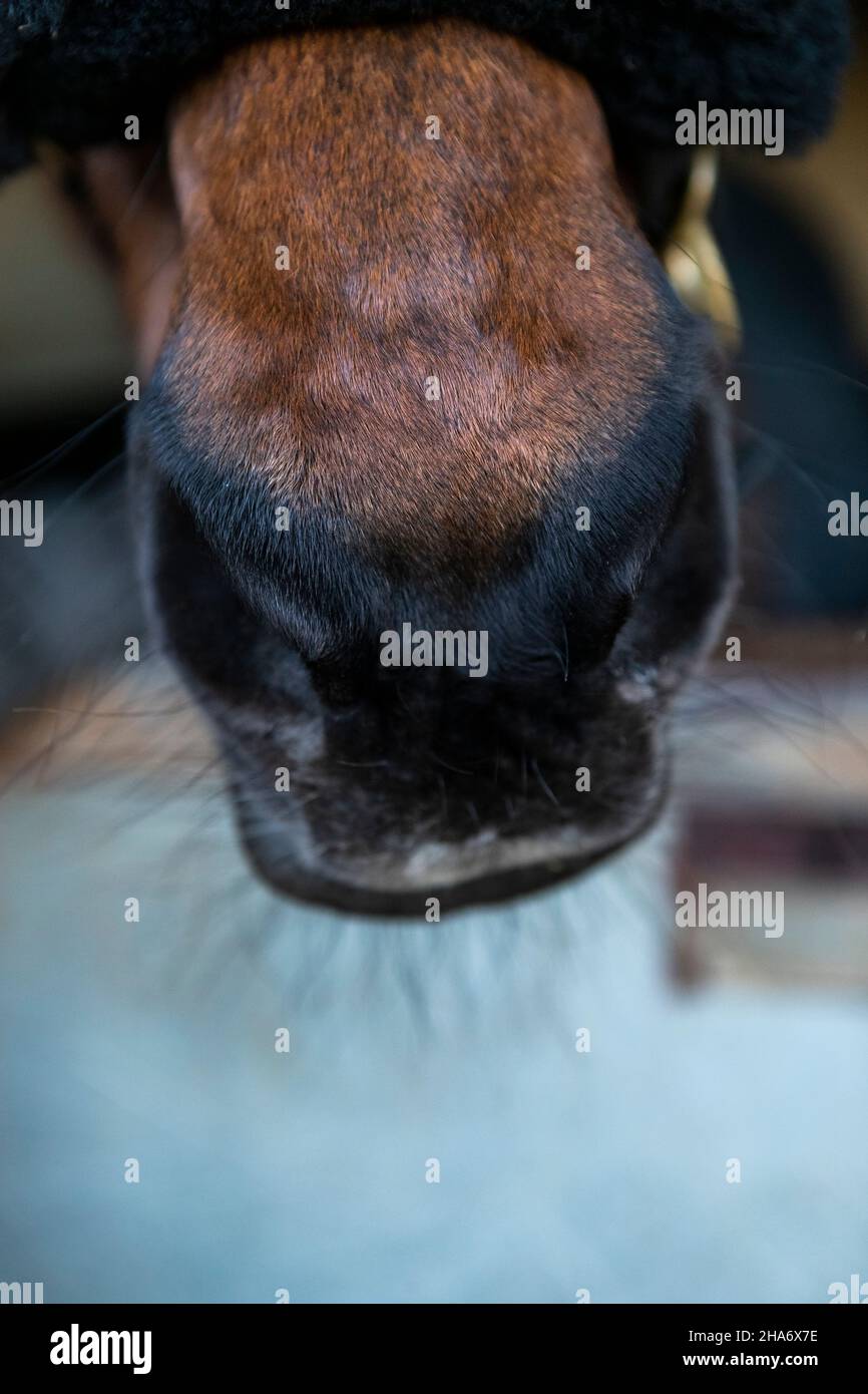 Felicity - letzter Tag Stockfoto