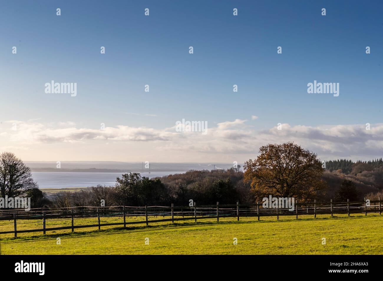 Blick auf den Fluss und und Pferde Weide, Forest of Dean. VEREINIGTES KÖNIGREICH Stockfoto