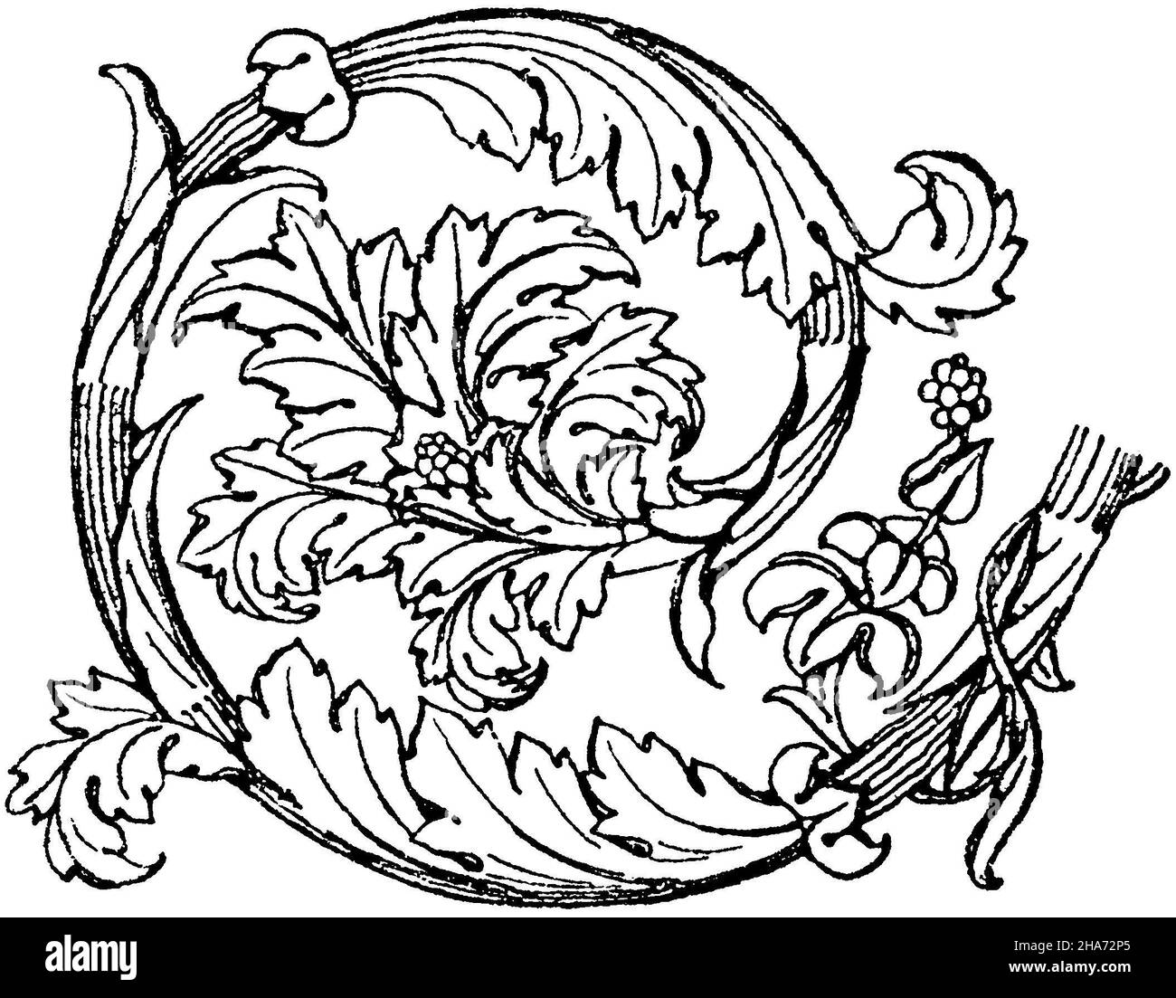 Acanthus-Ranke: Römischer Acanthus-Ranke aus der sogenannten Florentiner Tafel, einem reich verzierten Marmorrelief in den Uffizien in Florenz. (Jacobsthal), , ML (Musterbuch, ) Stockfoto