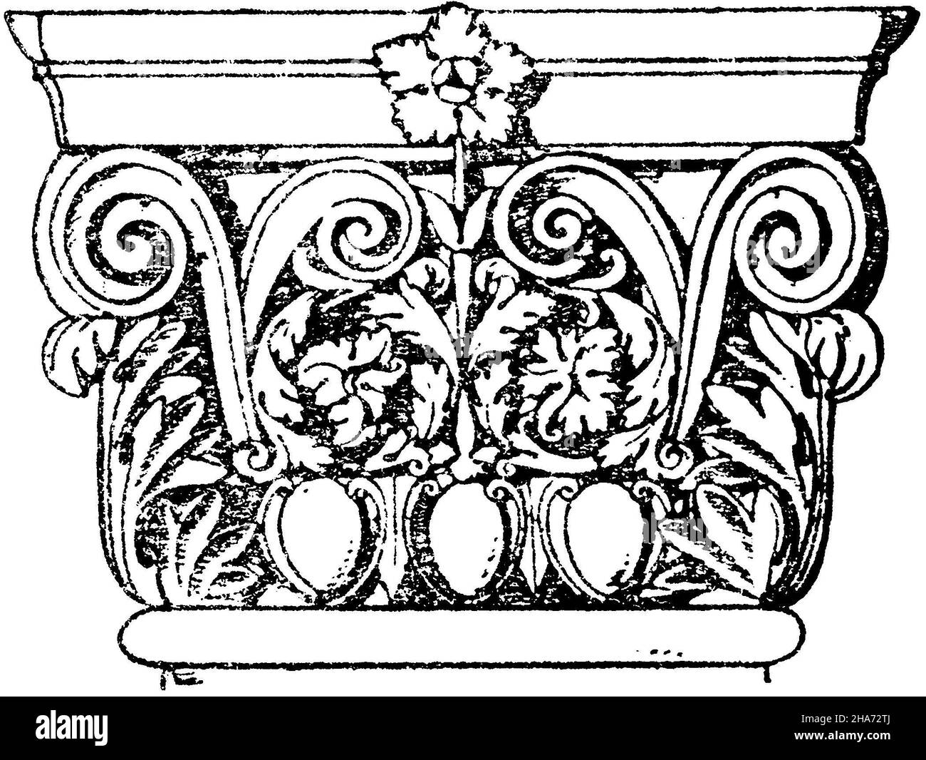 Römisch-korinthische Pilaster-Hauptstadt. (Bötticher), , ML (Musterbuch, ) Stockfoto