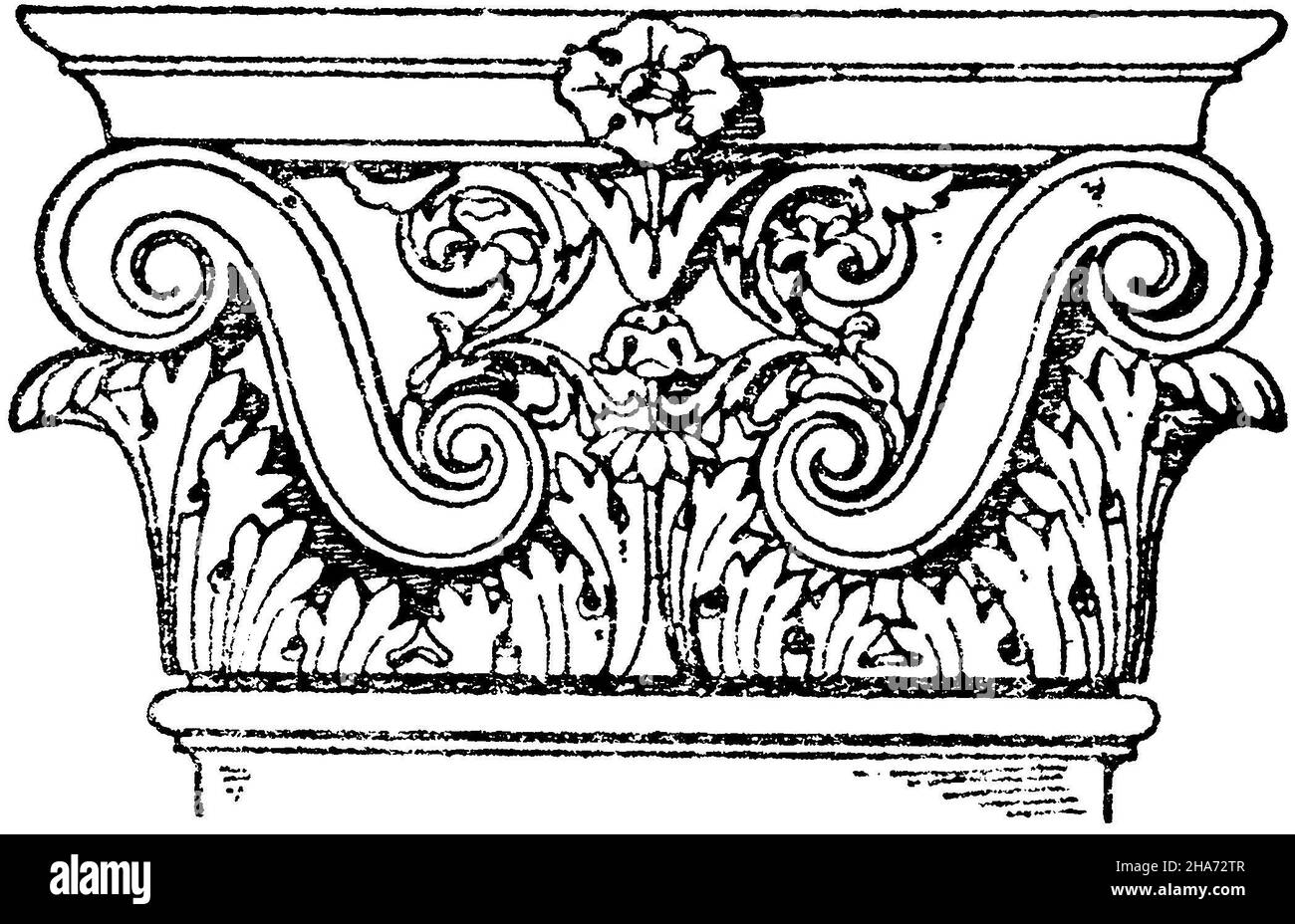 Römisch-korinthische Pilaster-Hauptstadt. (Bötticher), , ML (Musterbuch, ) Stockfoto