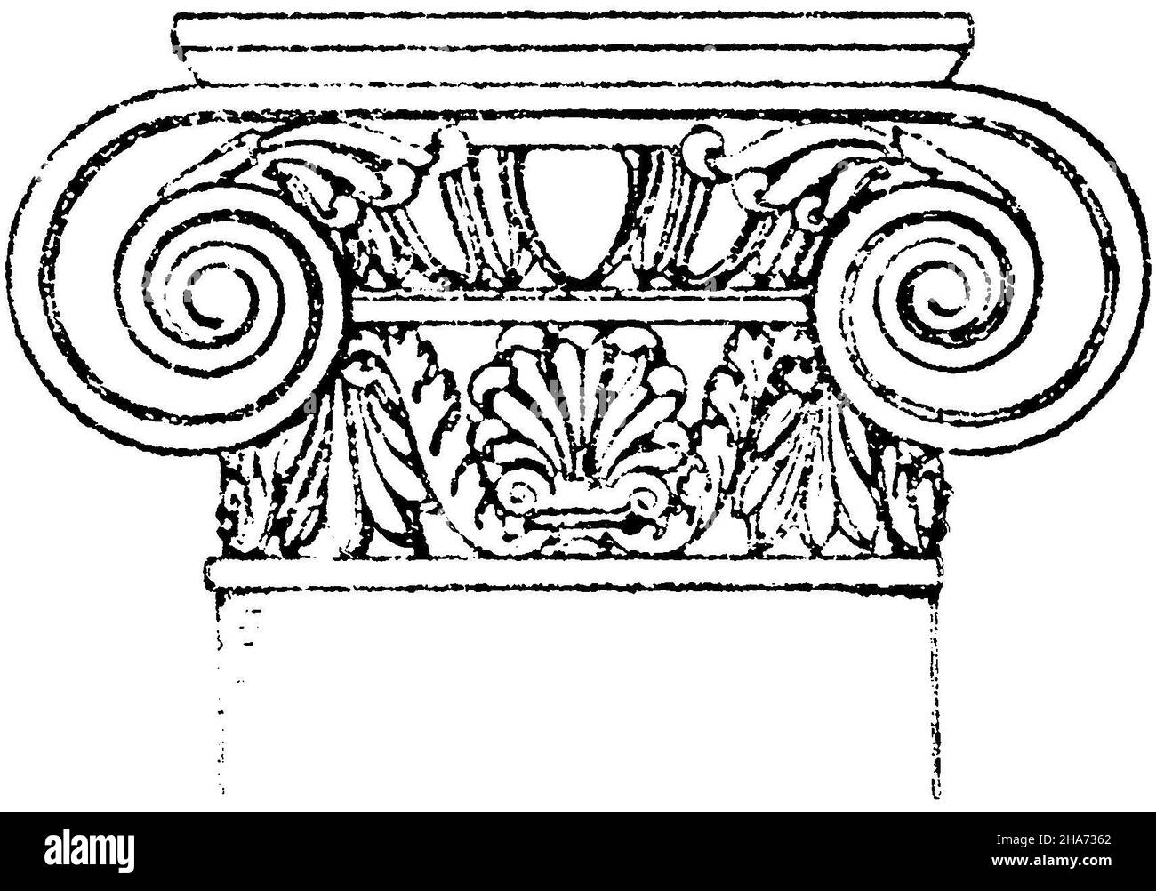 Kapitell der römischen ionischen Säule. (Musterornente), , ML (Musterbuch, ) Stockfoto