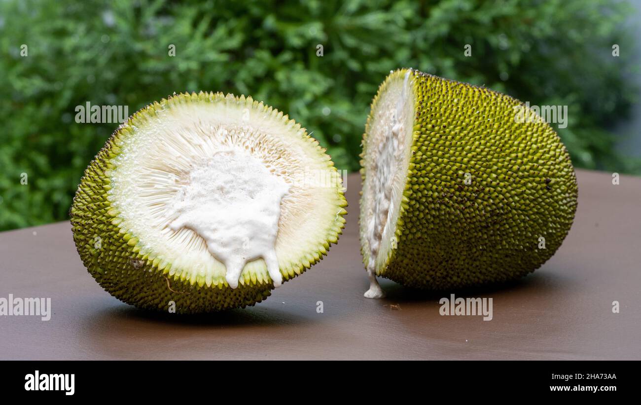 Halb geschnittenes Jack-Obst oder Polos, die eine hohe Ernährung für unseren Körper haben Stockfoto