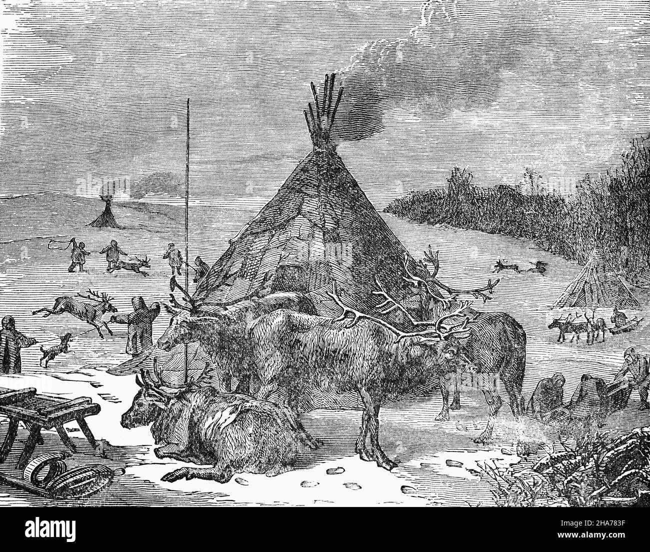Eine Illustration einer finnischen samischen Siedlung mehrerer Familien aus dem späten 19th. Jahrhundert, genannt siida, ein altes Gemeinschaftssystem. Sie lebten in Lavvus, traditionellen Zelten mit einer Haut, die um einen Kegel von Stützstangen gewickelt war, die Kerben und Gabeln haben, um sie zusammenzuhalten. Siida-Mitglieder halfen sich gegenseitig bei der Verwaltung von Rentierherden, die für den Transport, die Milch- und Fleischproduktion verwendet werden, aber Häute, Knochen und Hörner sind wichtige Rohstoffe für die Herstellung von Kleidung und Kunsthandwerk. Stockfoto