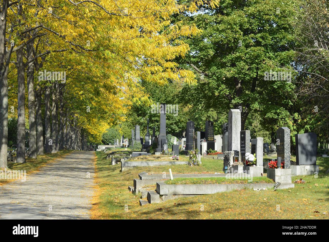 Wien, Österreich. Der Wiener Zentralfriedhof. Grabstätten auf dem zentralen Friedhof. Herbststimmung auf dem zentralen Friedhof Stockfoto