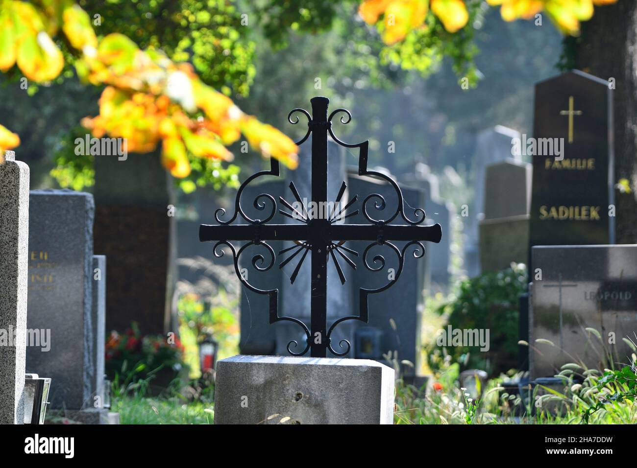 Wien, Österreich. Der Wiener Zentralfriedhof. Grabstätten auf dem zentralen Friedhof. Herbststimmung auf dem zentralen Friedhof Stockfoto
