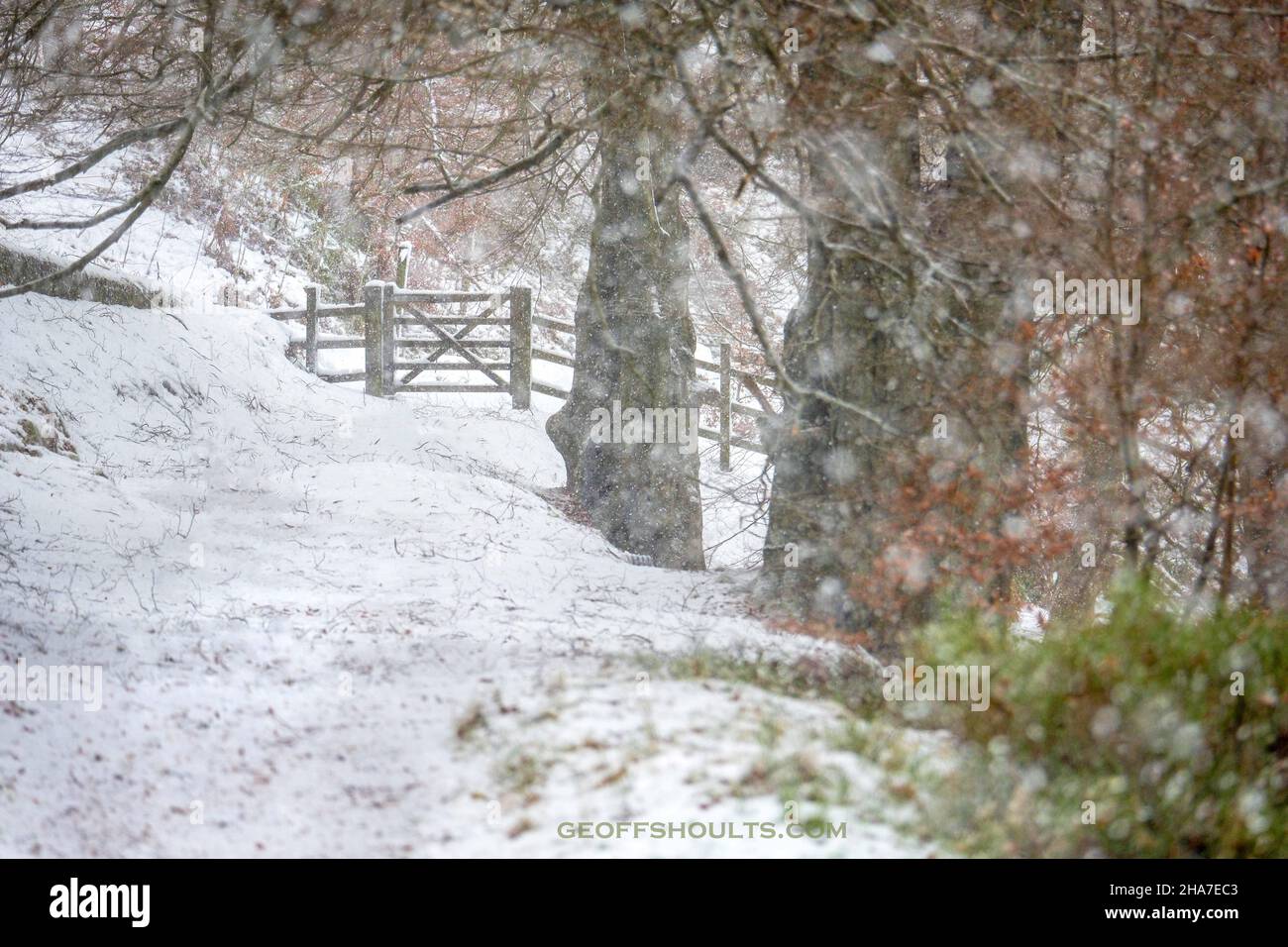 Das Goyt Valley im Derbyshire Peak District im Winterschnee. Stockfoto