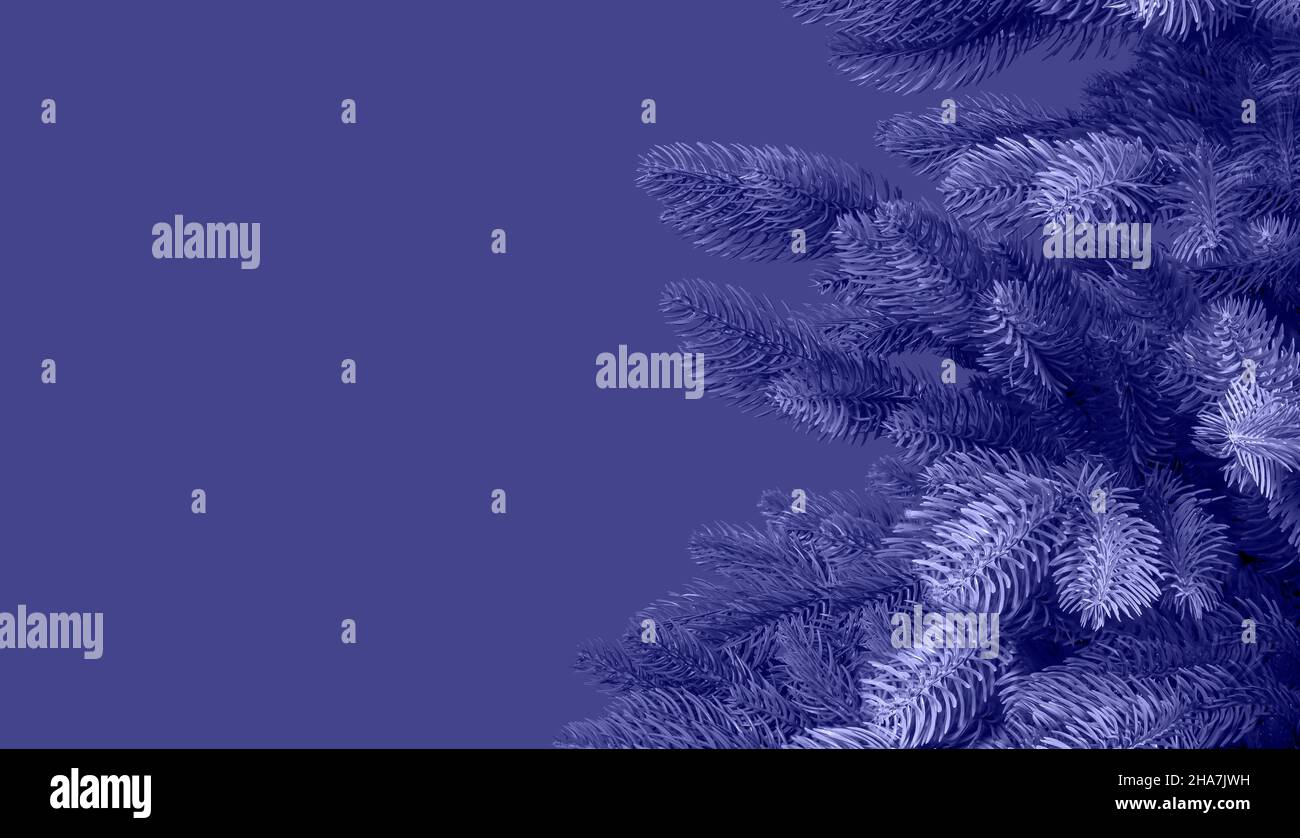 Sehr perifarbene Weihnachtstanne auf Banner mit Kopierfläche. Weihnachten monochromen minimalistischen Hintergrund. Stockfoto