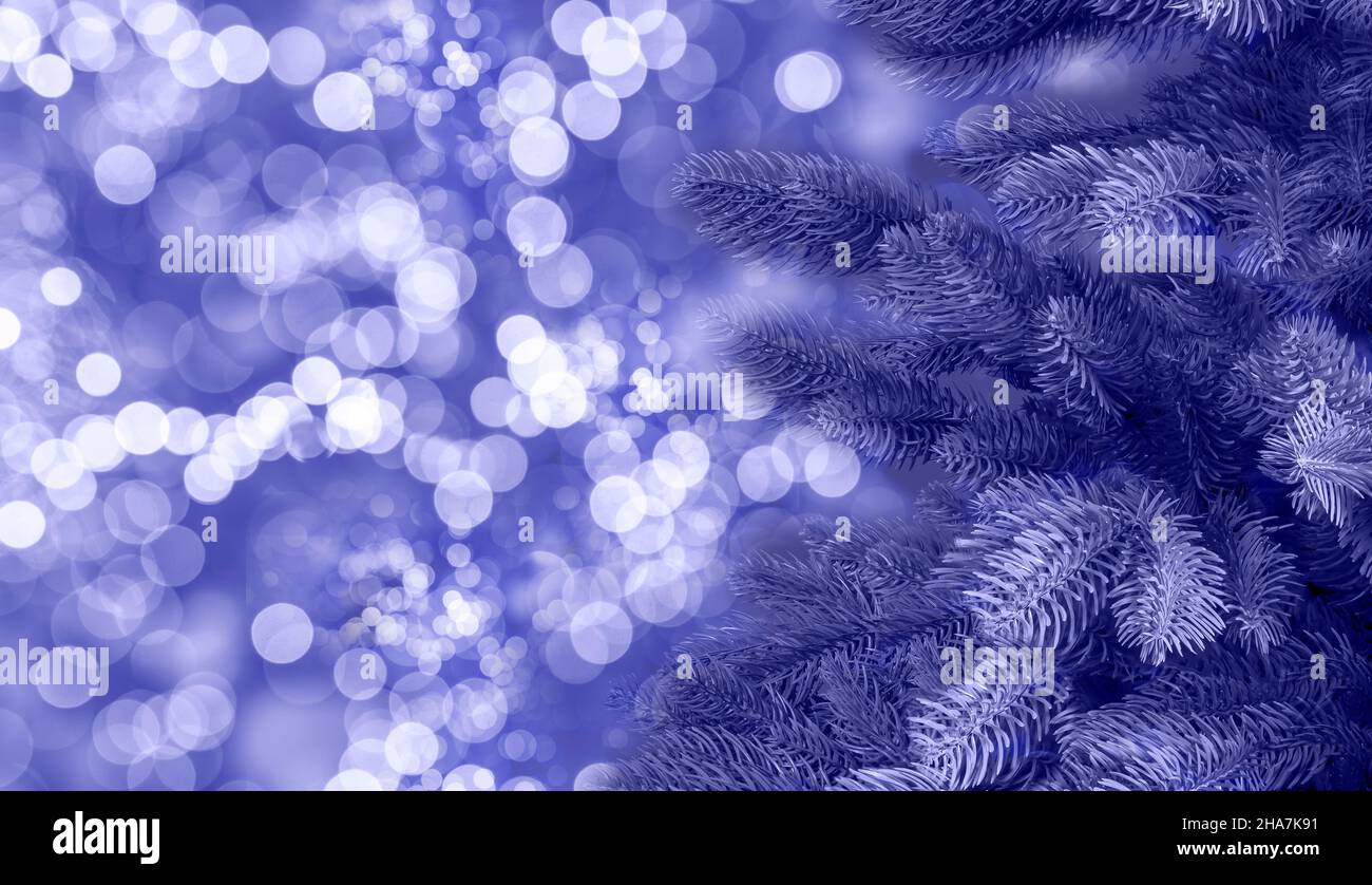 Sehr perifarbene Weihnachtstanne auf Banner mit Kopierfläche mit verschwommenen Girlande-Lichtern. Weihnachten monochromen minimalistischen Hintergrund. Stockfoto
