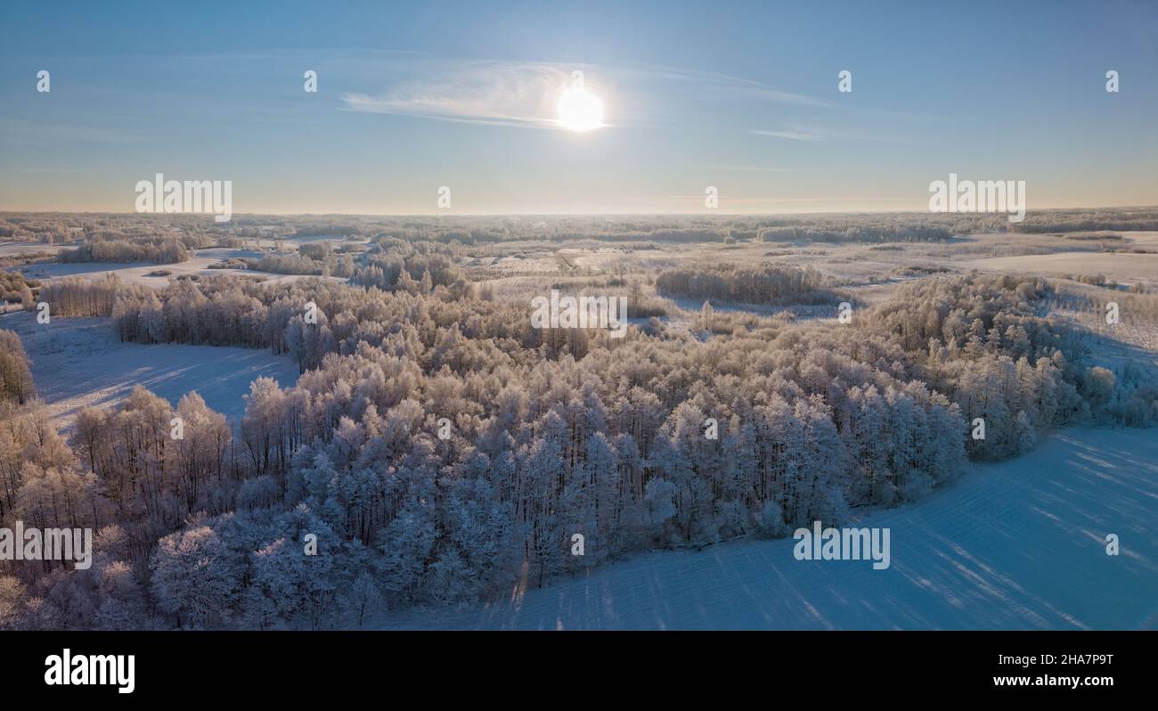 Fabelhafte Luft Winterlandschaft Hintergrund von Frost auf Ästen, extrem kalten Umgebungsbedingungen, kalten Wintertag mit Sonnenlicht Stockfoto