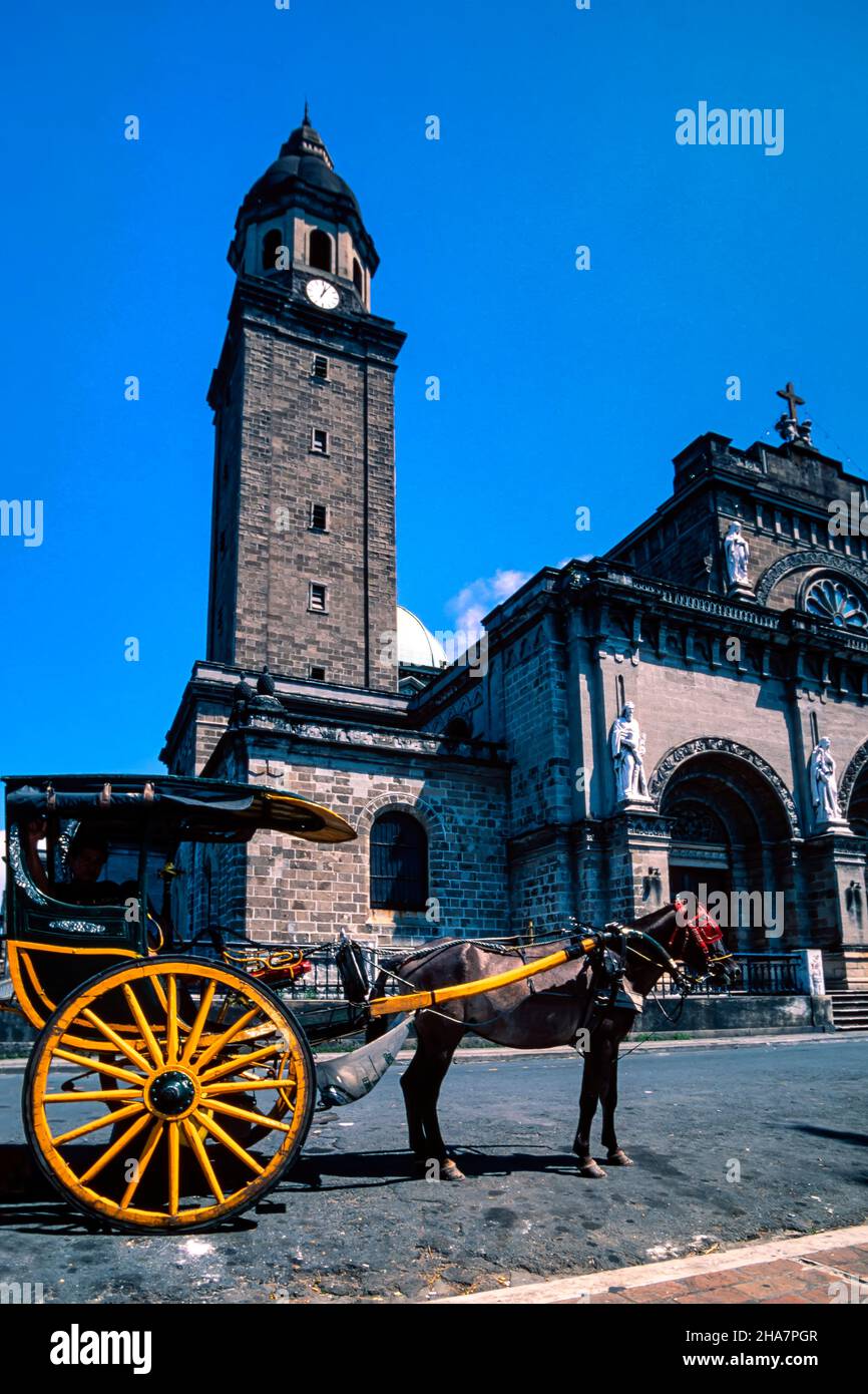 Kalesa und Fahrer, Intramuros, Manila, Philippinen Stockfoto