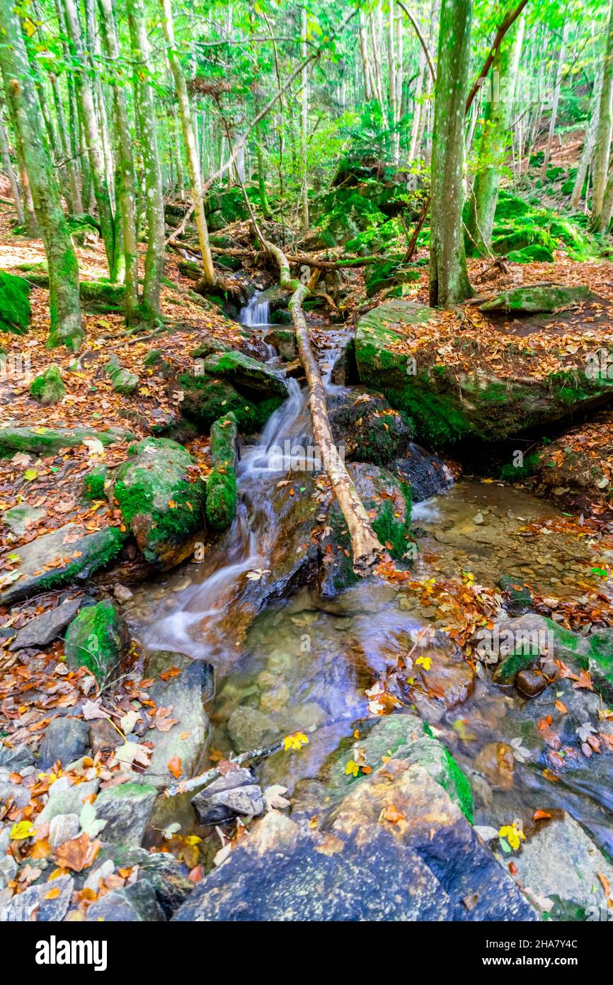 Wandern zu den Nagelsteiner Wasserfällen in den bayerischen Wäldern Stockfoto