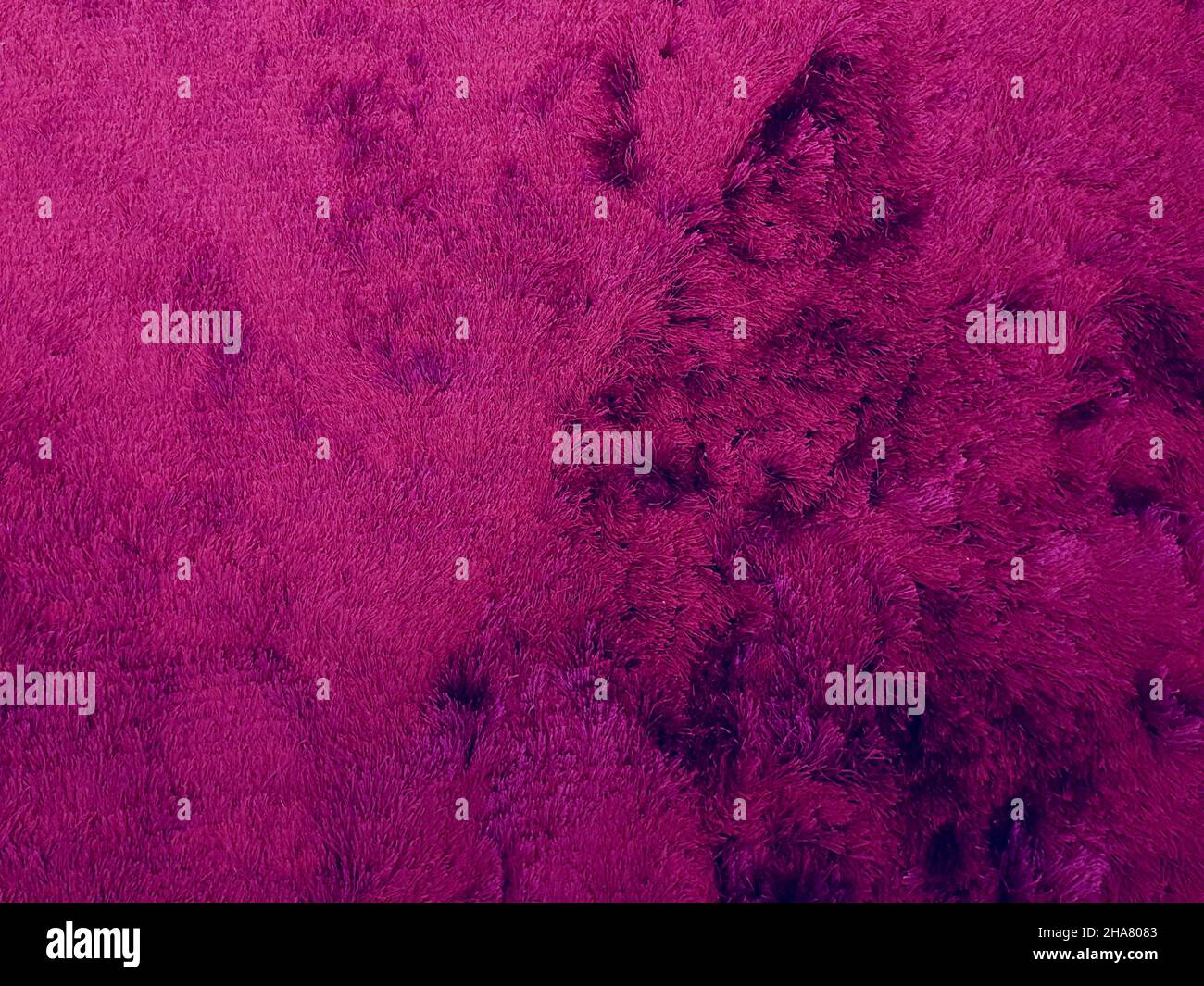Nahaufnahme der Oberfläche eines sehr weichen violetten Teppichs. Hintergründe und Texturen Stockfoto