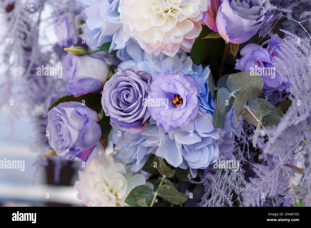 Dekoration für Hochzeitszeremonien: Nahaufnahme des Bogens, dekoriert mit Crysanthemen, Rosen, Hortensien und Grün. Viele Blumen in trendiger Farbe des Jahres 2022 - sehr Peri. Stockfoto