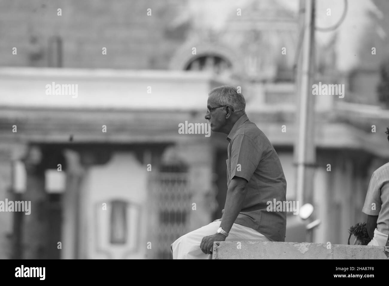Ein kleiner brauner Schmetterling auf einer grünen Blattpflanze Stockfoto
