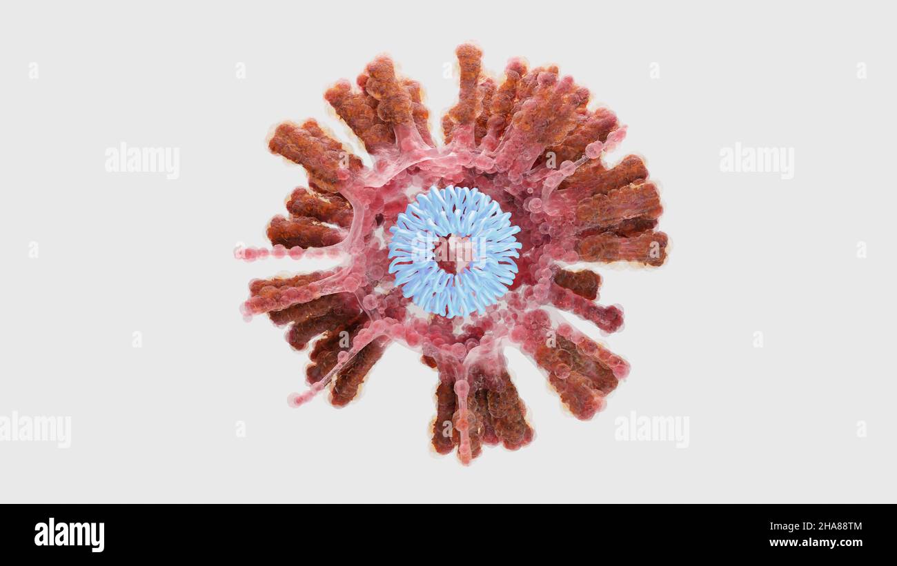 SARS-CoV-2 Coronavirus-Variante Omicron. Zelldelta und MU-Variante von Interesse(VOI),B.1.621,B.1.1.529,C.37.COVID 19 Delta plus,MU-Variante, mutiert Stockfoto