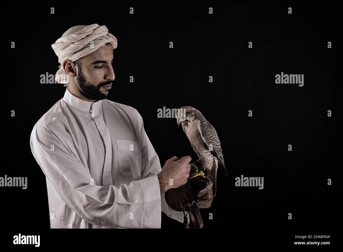 Junger Falkner, der einen Raubvögel hält. Stockfoto