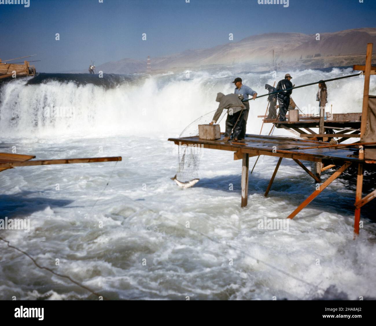 1950S INDIANER DIPNET FISCHEREI CELILO FÄLLT STROMSCHNELLEN BEVOR DALLES-STAUDAMM AUF DEM COLUMBIA-FLUSS DIE WASSERFÄLLE ÜBERFLUTETE OREGON USA - KF2657 LAN001 HARS NORDAMERIKA NORDAMERIKA VOR ABENTEUER STÄRKE WASSERFALL NIEDRIGEN WINKEL MÄCHTIGEN FORTSCHRITT DAMM COLUMBIA BESCHÄFTIGT POLITIK VERBINDUNG BEWEGUNG VERSCHWIMMEN WEISSES WASSER STROMSCHNELLEN ÜBERFLUTET INDIANISCHEN ODER STÄMME ZUSAMMENARBEIT INDIANISCHEN AMERIKANER OREGON ZWEISAMKEIT STAMMES WALLA WALLA INDIGENEN ALTEN MODISCH Stockfoto