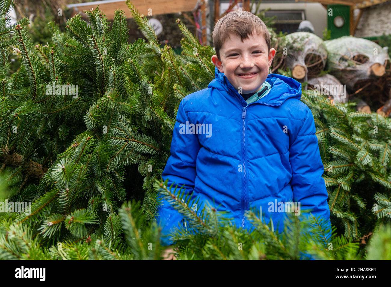 Clonakilty, West Cork, Irland. 11th Dez 2021. An einem Tag starken Regens. Jack Rea aus Clonakilty hat in Clonakilty nach einem Weihnachtsbaum gekauft. Quelle: AG News/Alamy Live News Stockfoto