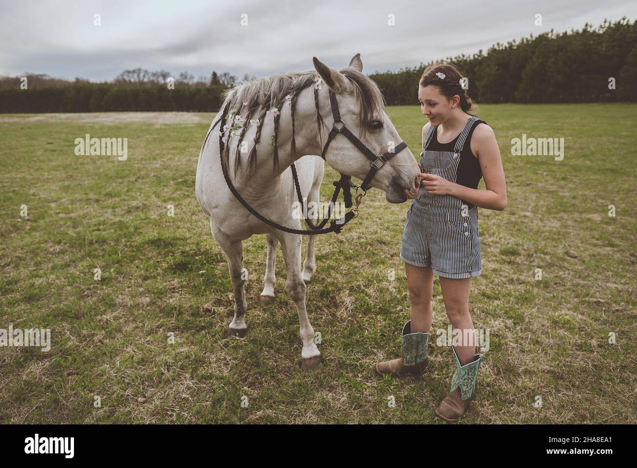 Teen Mädchen steht neben grauen Stute Viertel Pferd mit Zöpfen Stockfoto