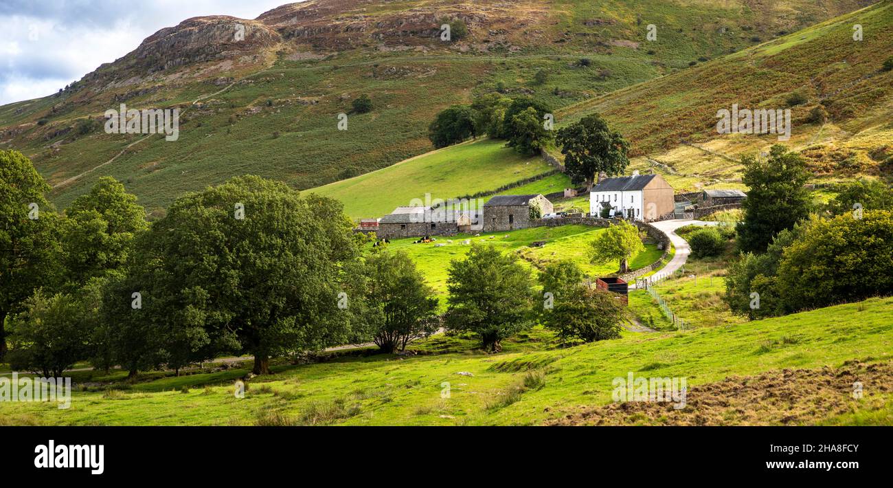 UK, Cumbria, Allerdale, Keswick, Thwaite House Farm unterhalb von Ashness Fell, Panorama Stockfoto