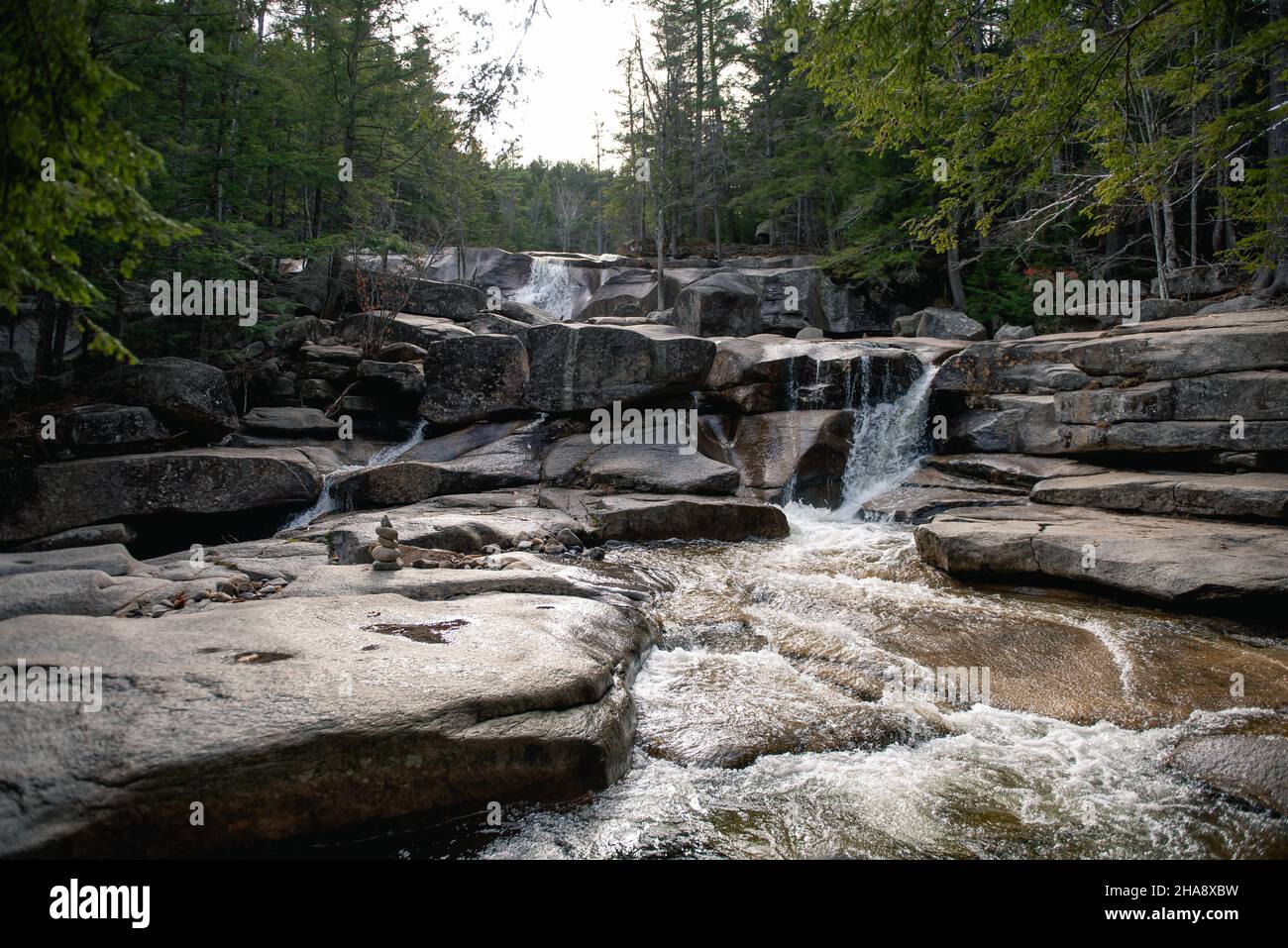 Diana's Bath ist eine Reihe von kleinen Wasserfällen in der North Conway-Gegend von New Hampshire, USA. Stockfoto