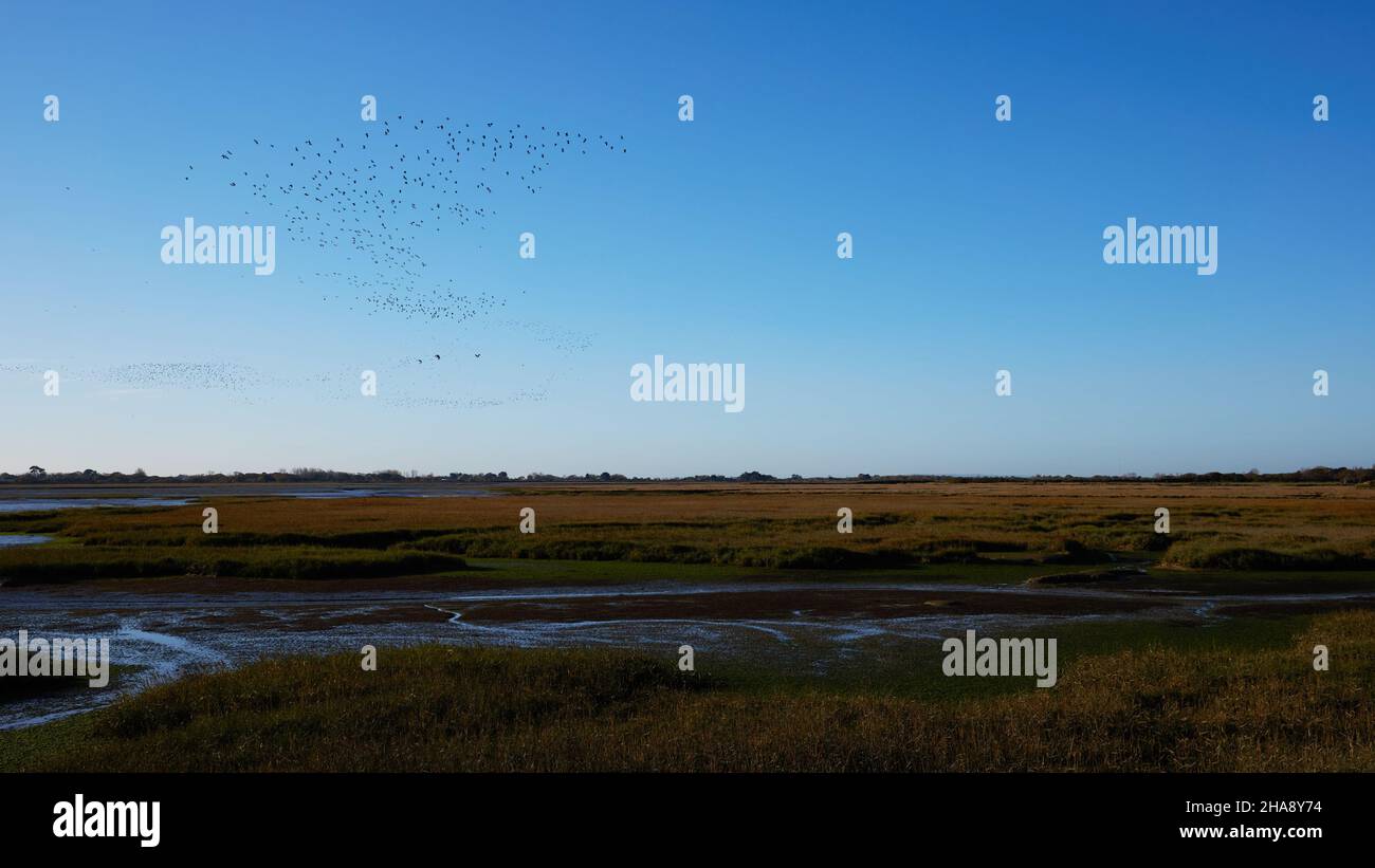 Weiter Blick über das Naturschutzgebiet Pagham Harbour im Spätherbst. Stockfoto