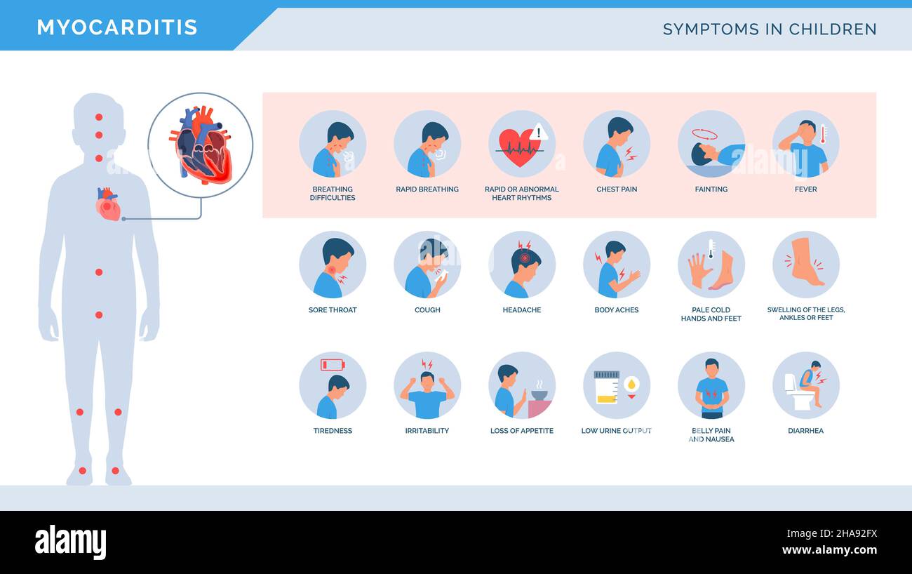 Myokarditis-Symptome bei Kindern Medizinische Infografik mit Symbolen für Herzerkrankungen Stock Vektor