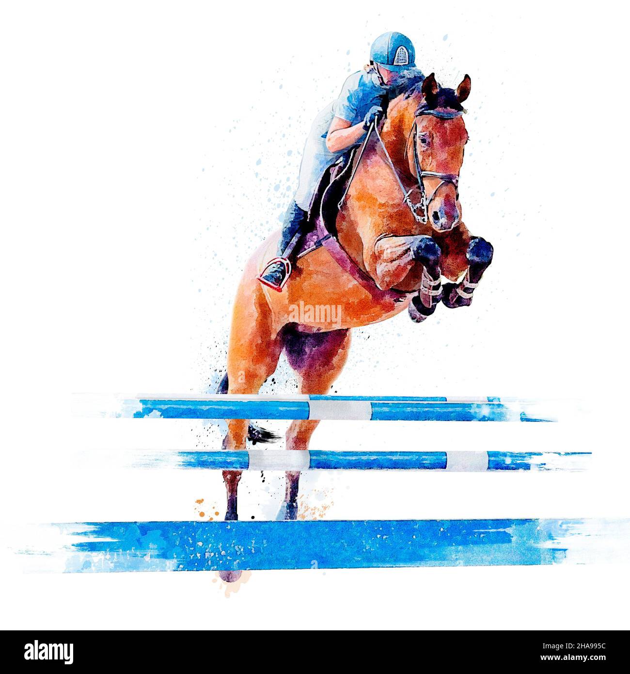 Jockey auf dem Pferd. Springen Von Pferden. Reitsport-Veranstaltungen. Aquarell Malerei Illustration isoliert auf weißem Hintergrund. Springwettbewerb. Stockfoto