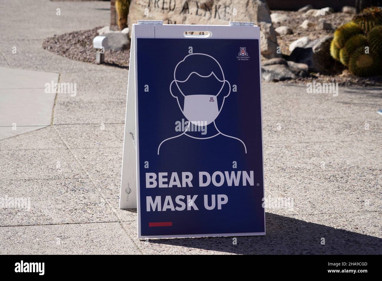 Eine Gesichtsmaske mit den Worten „Bear Down. „Maskierung“ wird an der University of Arizona am Dienstag im Rahmen der globalen Coronavirus-Pandemie COVID-19 beobachtet. Stockfoto