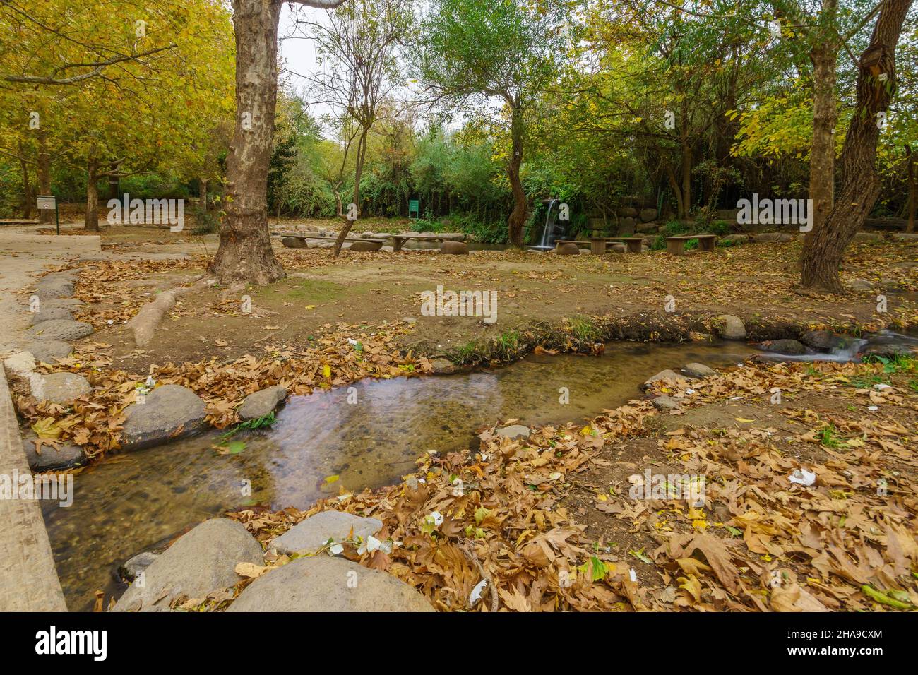 Blick auf Planschbecken und Bäume im Herbstlaub im Snir Stream (Hatsbani) Nature Reserve, an einem bewölkten Tag. Nord-Israel Stockfoto