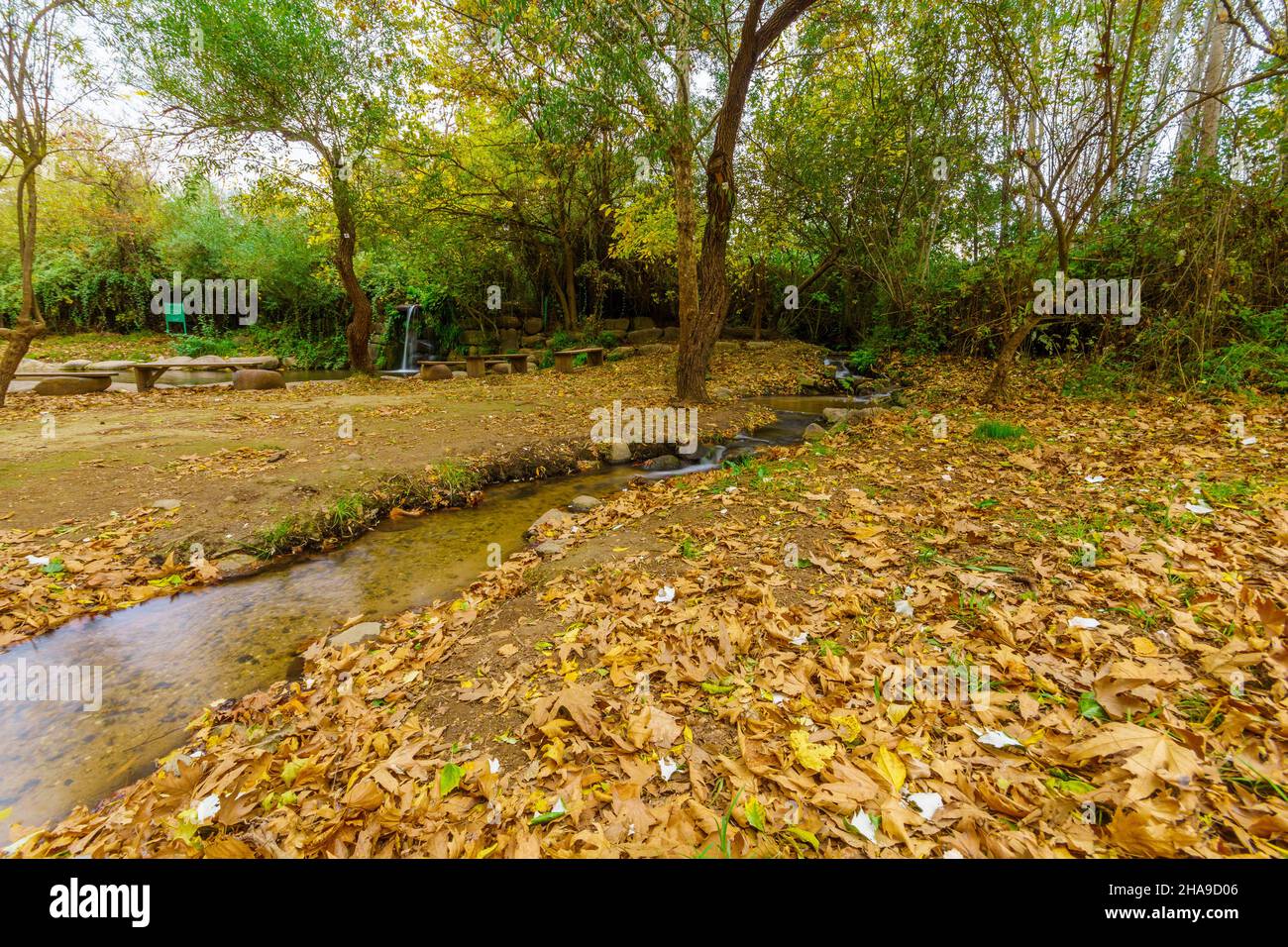 Blick auf Planschbecken und Bäume im Herbstlaub im Snir Stream (Hatsbani) Nature Reserve, an einem bewölkten Tag. Nord-Israel Stockfoto