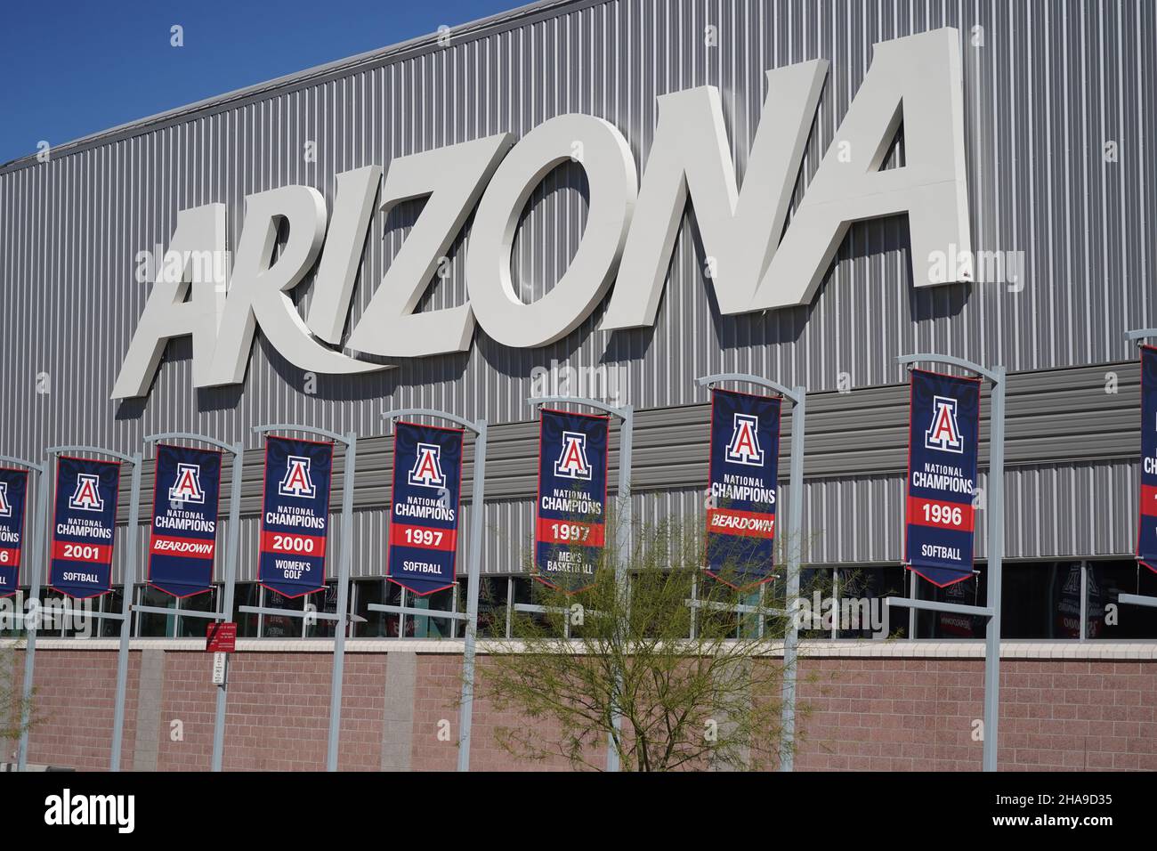 Arizona Wildcats NCAA Championship Banner für Softball (1996, 1997 und 2001), Männer Basketball (1997) Frauen Golf (2000) sind im Cole und J zu sehen Stockfoto