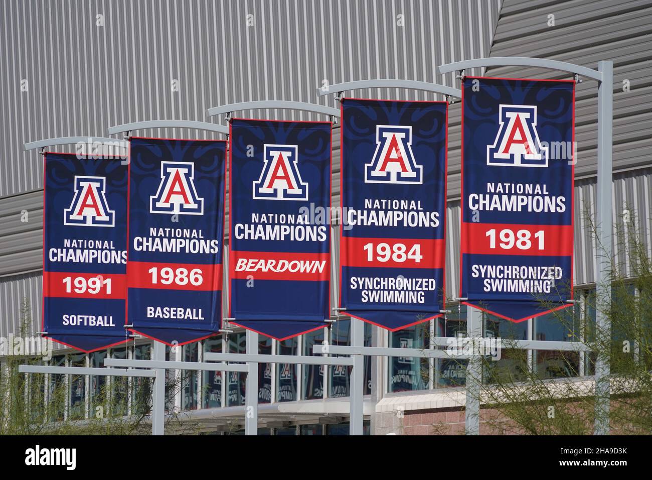 Arizona Wildcats NCAA Championship-Banner für Softball (1991), Baseballspiele (1986), Synchronschwimmen (1981 und 1984) sind im Cole und Jeanni zu sehen Stockfoto