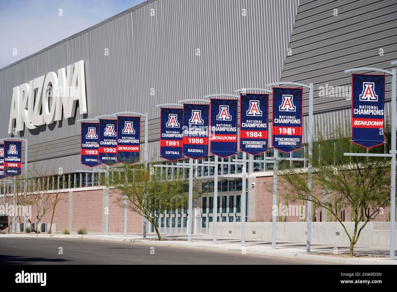 Arizona Wildcats NCAA Championship Banner für Golf (1992) Softball (1991 und 1992), Baseballspiele (1986), Synchronschwimmen (1981 und 1984 sind zu sehen Stockfoto