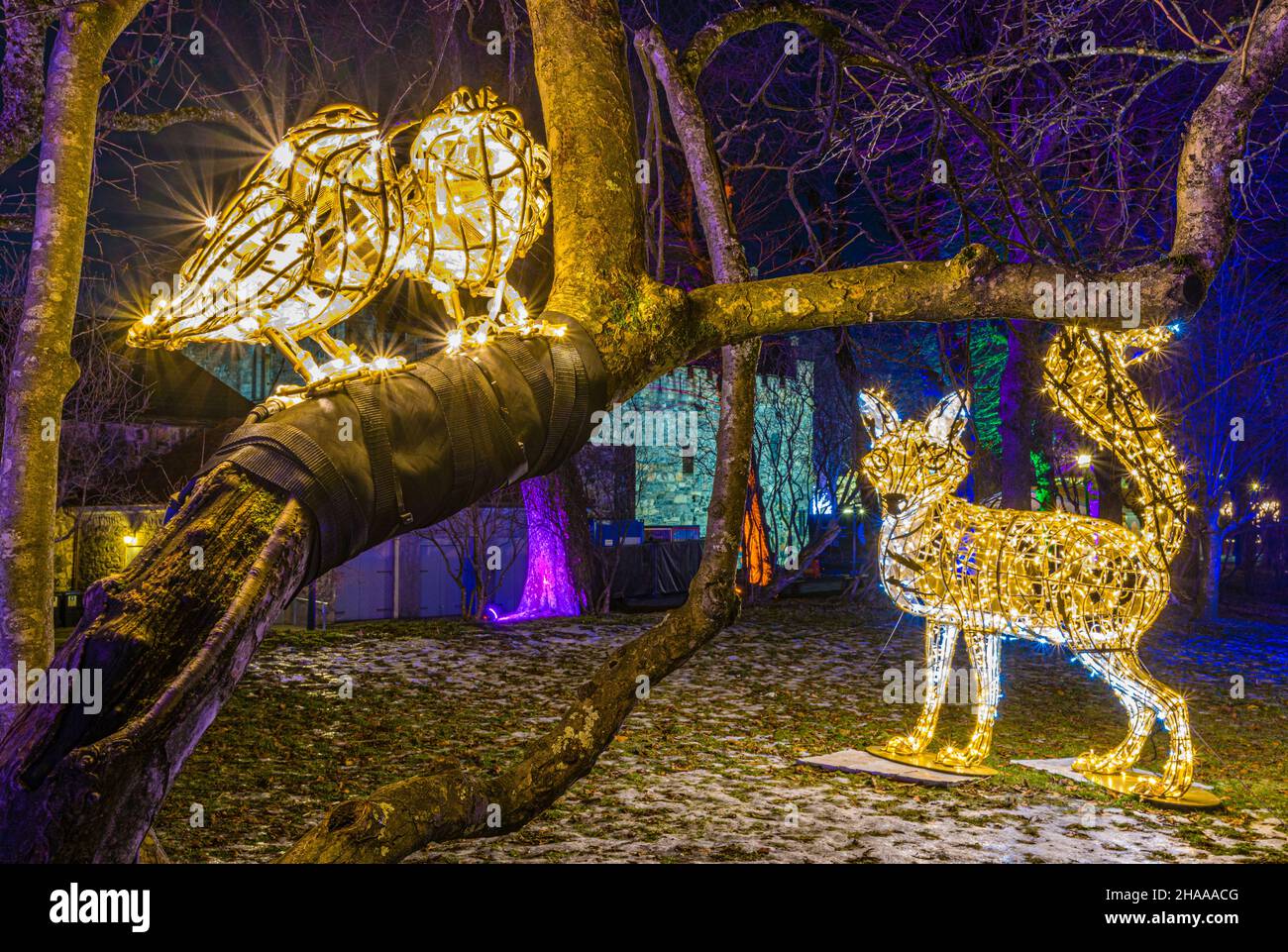 Das Lumagica Light Festival in Bergen bei Bergenhus Festning zu Weihnachten Stockfoto