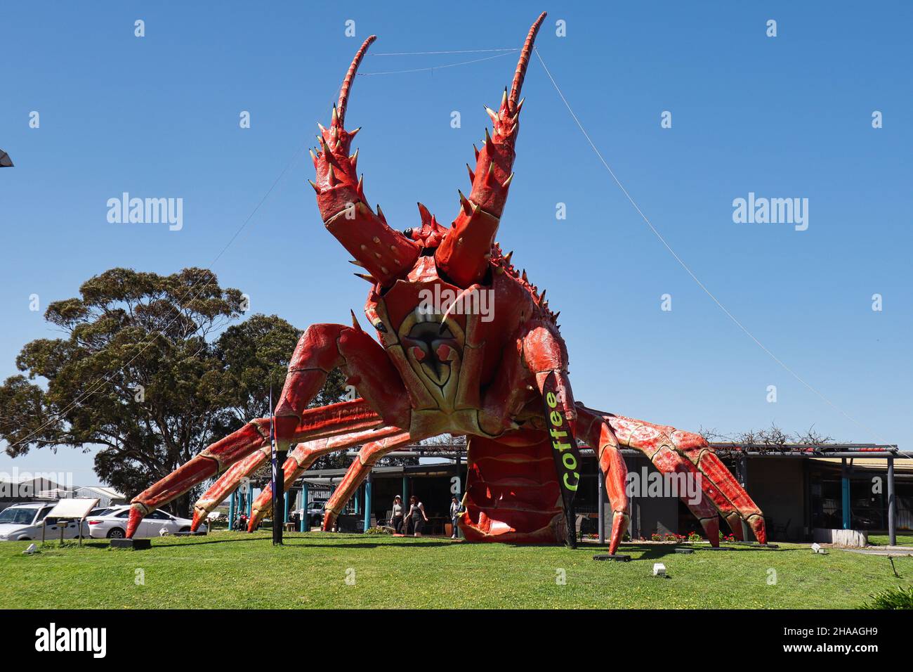 Schräges Foto des großen Hummers „Larry the Lobster“ Stockfoto