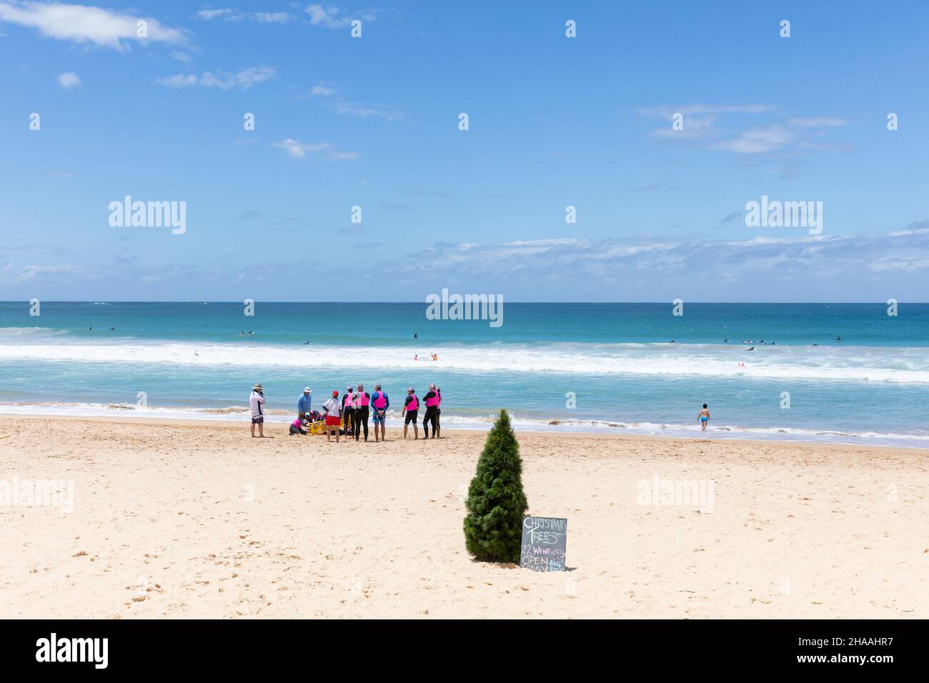 Weihnachts- und Weihnachtsbaum sitzen allein am Strand von Manly Beach in Sydney, Sommer zu Weihnachten, NSW, Australien Stockfoto