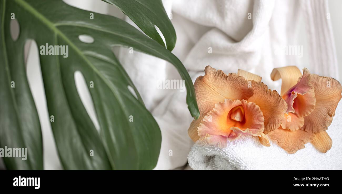 Spa-Komposition mit Badaccessoires und thailändischen Orchideenblüten. Stockfoto