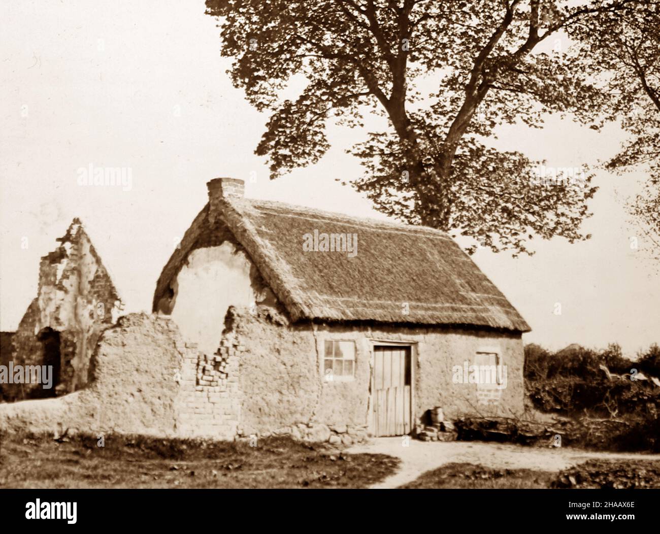 The Mud Cabin, Bladon Park, Belfast, viktorianische Zeit Stockfoto