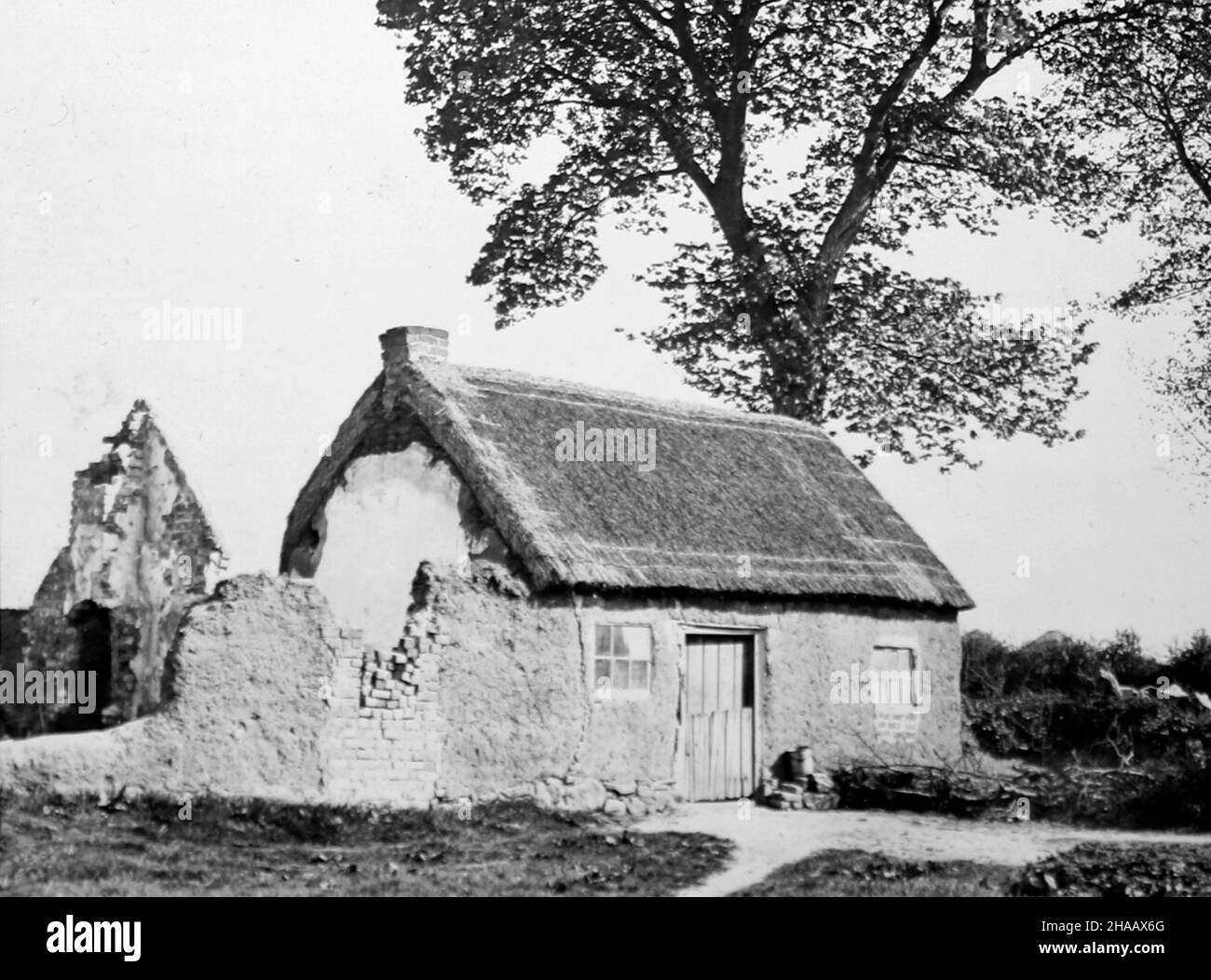 The Mud Cabin, Bladon Park, Belfast, Irland, viktorianische Zeit Stockfoto