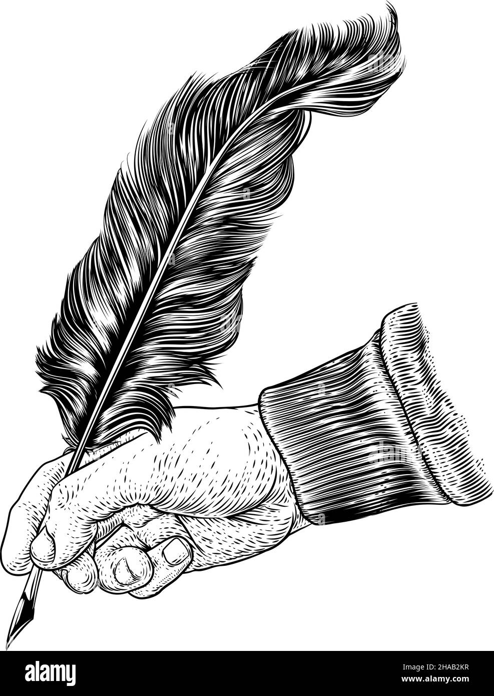 Federfeder Feder Feder Feder Hand Vintage Holzschnitt Print Stock Vektor