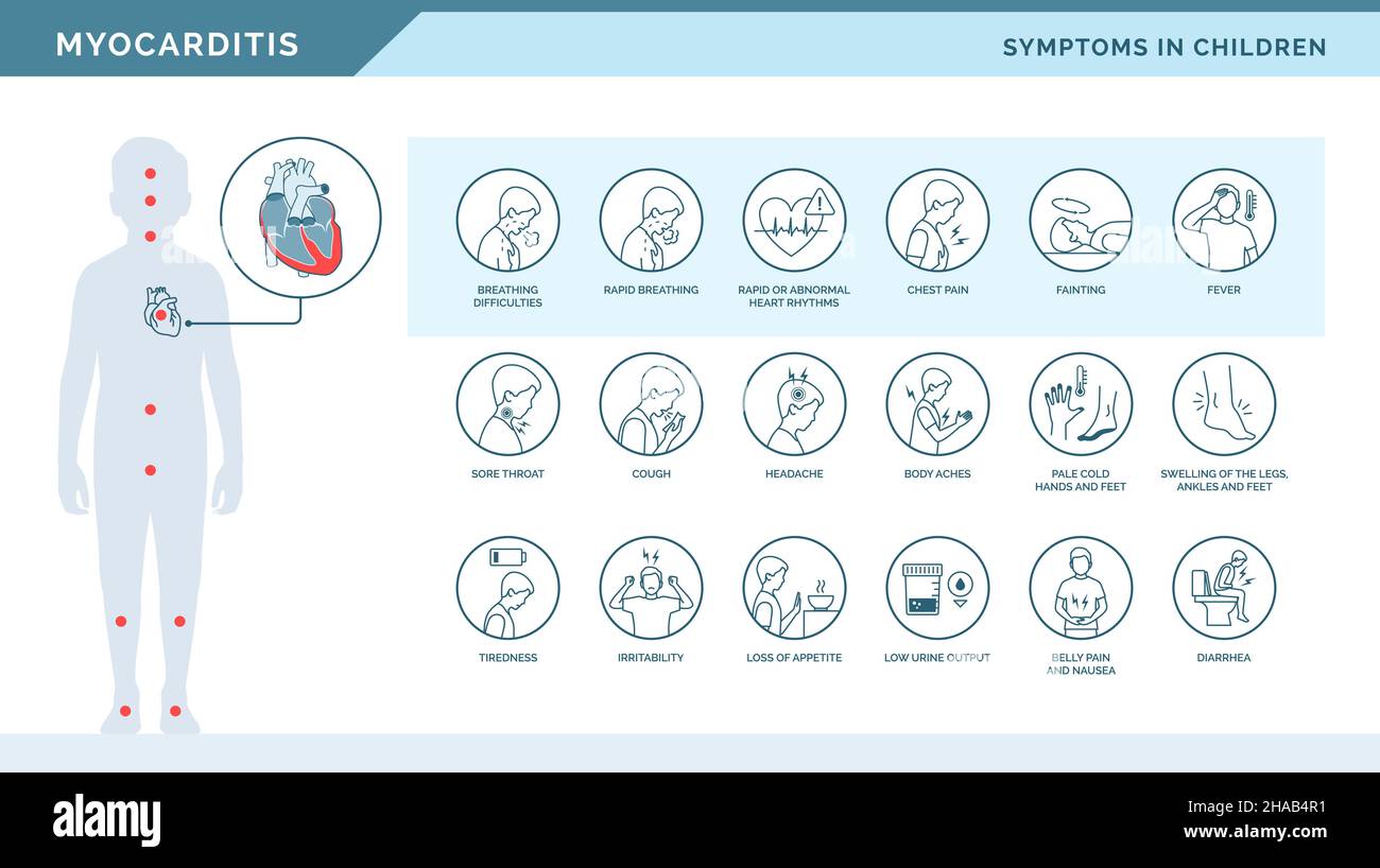Myokarditis-Symptome bei Kindern Medizinische Infografik mit Symbolen für Herzerkrankungen Stock Vektor