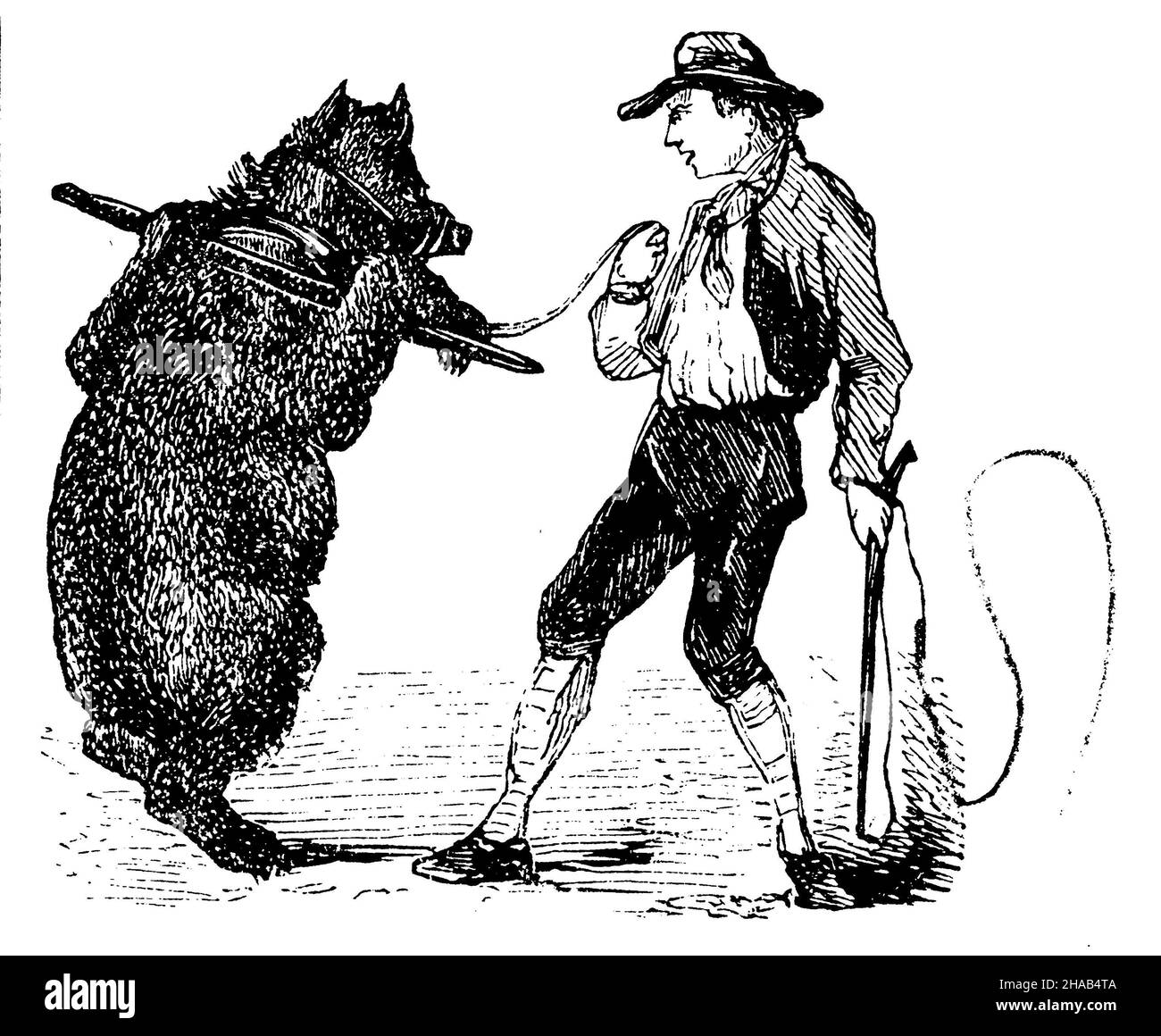 Gekleideter Bär mit Tamer, , (Grundierung, 1870), Dressierter Bär mit Dompteur, unser Dressé avec dompteur Stockfoto