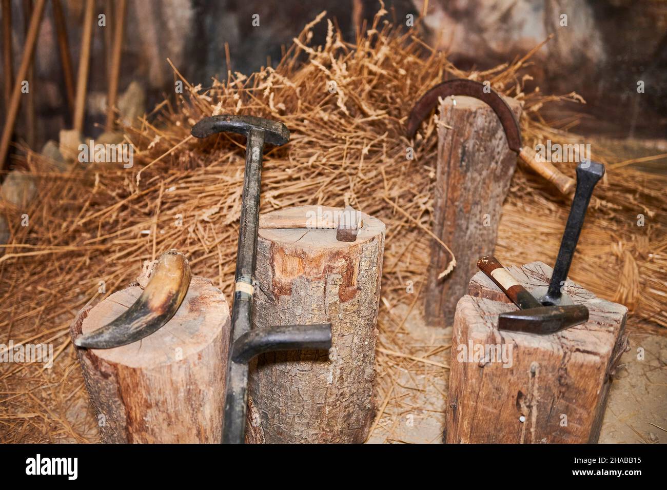 Alte landwirtschaftliche Werkzeuge im ethnographischen Museum von Artziniega, Alava, Baskenland, Euskadi, Euskal Herria, Spanien, Europa Stockfoto